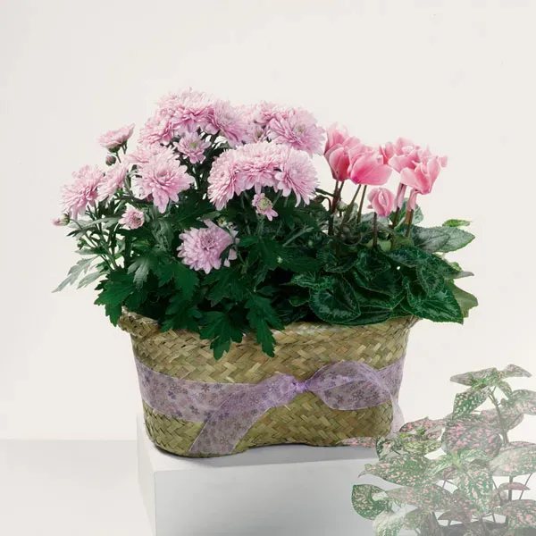 Mary's Rustic Rose, 524 2nd Street: photo 3