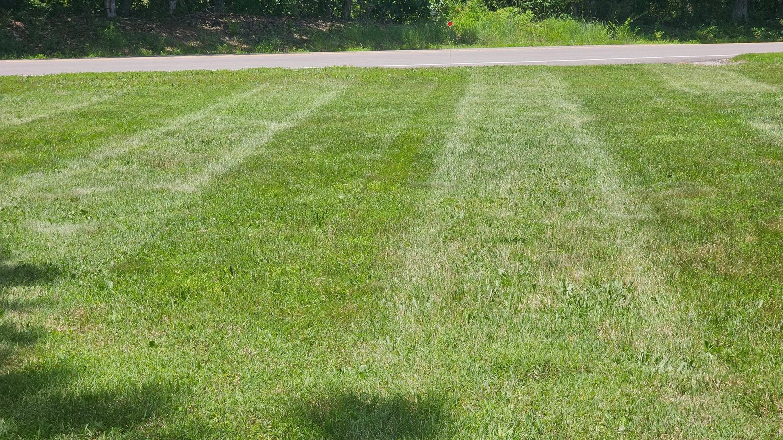 SDC Lawns Plus LLC, Kenyon: photo 1