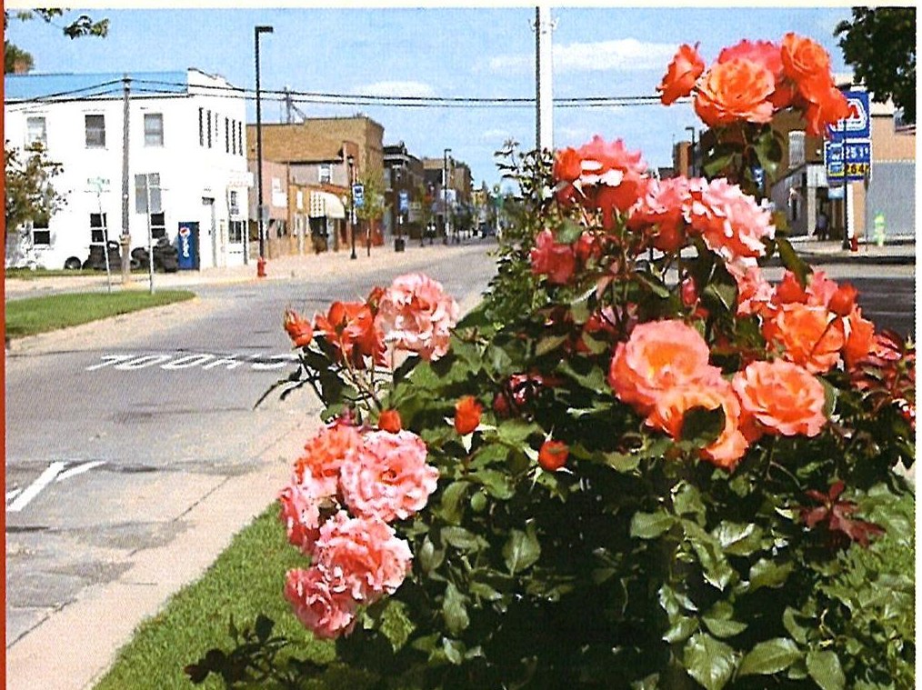 Roses on the Boulevard of Roses, 2nd Street